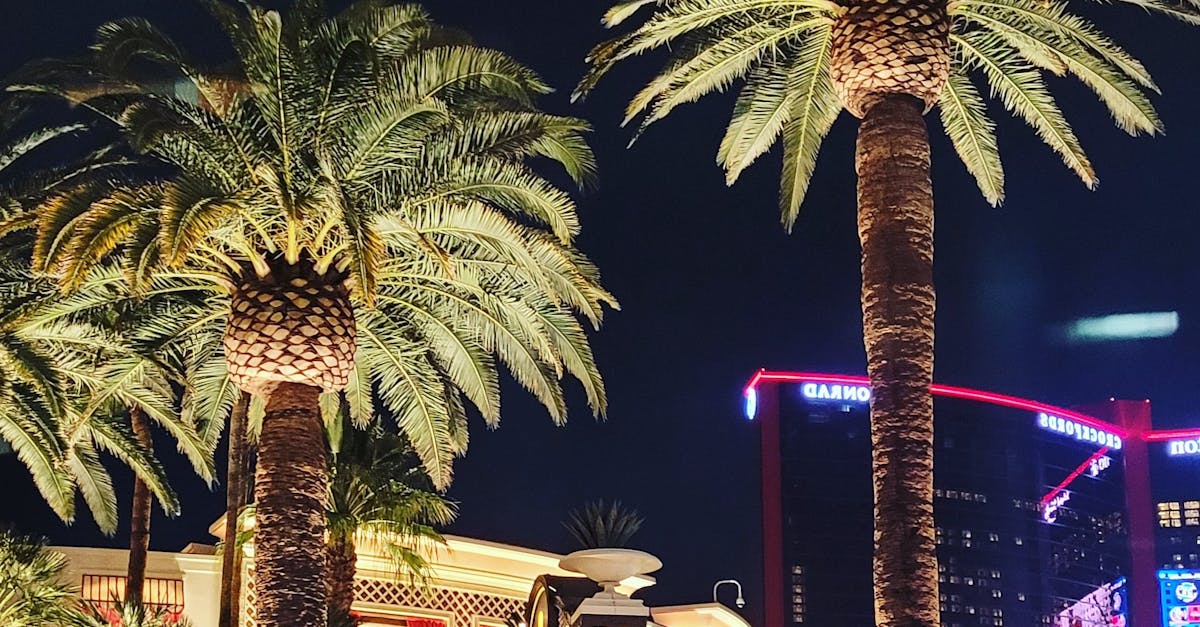 Iron Mountain Ranch, <a href=las-vegas.html class='text-primary'>Las Vegas</a>